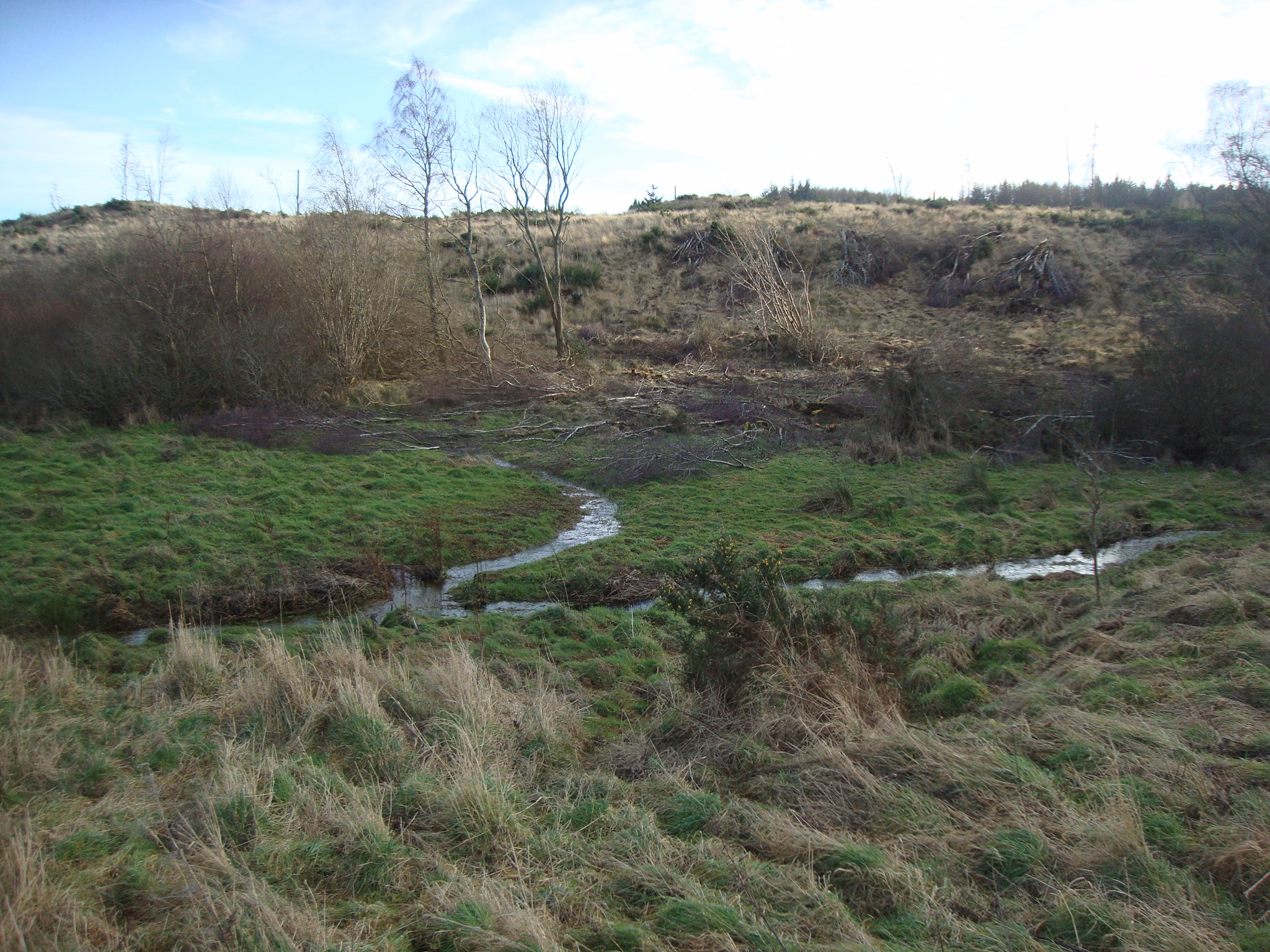 Hydrological and Flooding Assessment, Tornagrain - Image 1