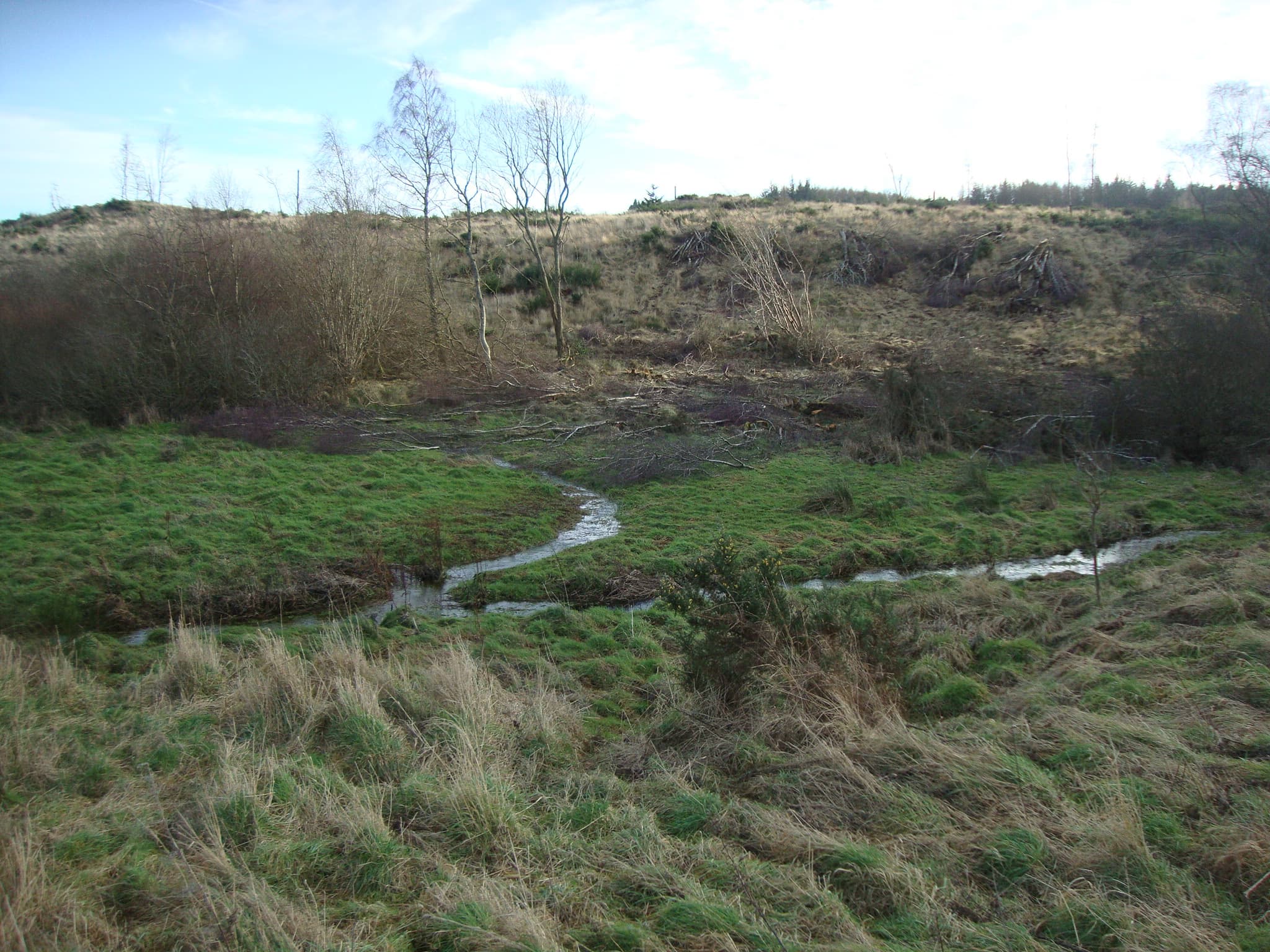 Hydrological and Flooding Assessment, Tornagrain - Image 1