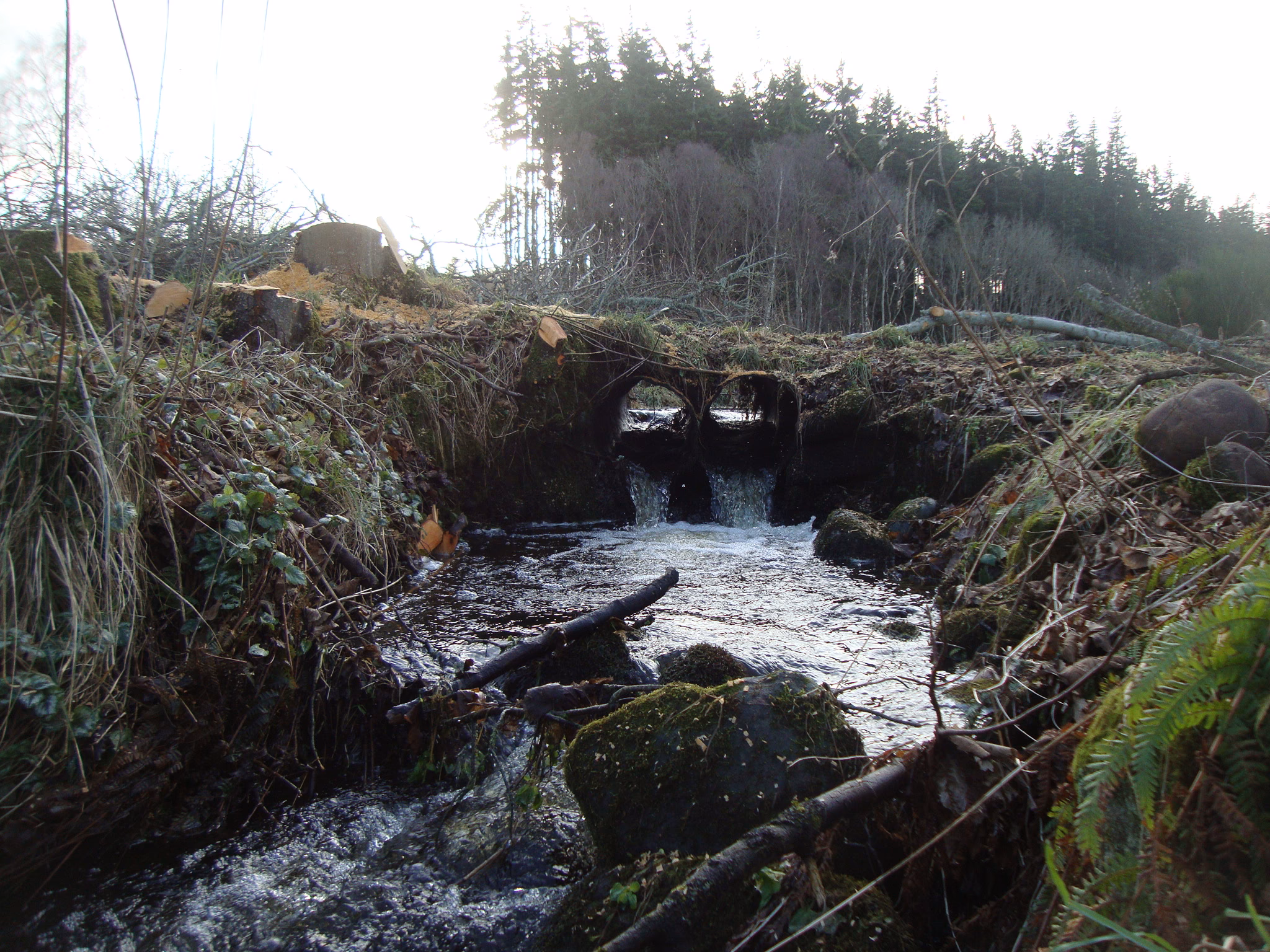 Hydrological and Flooding Assessment, Tornagrain - Image 2