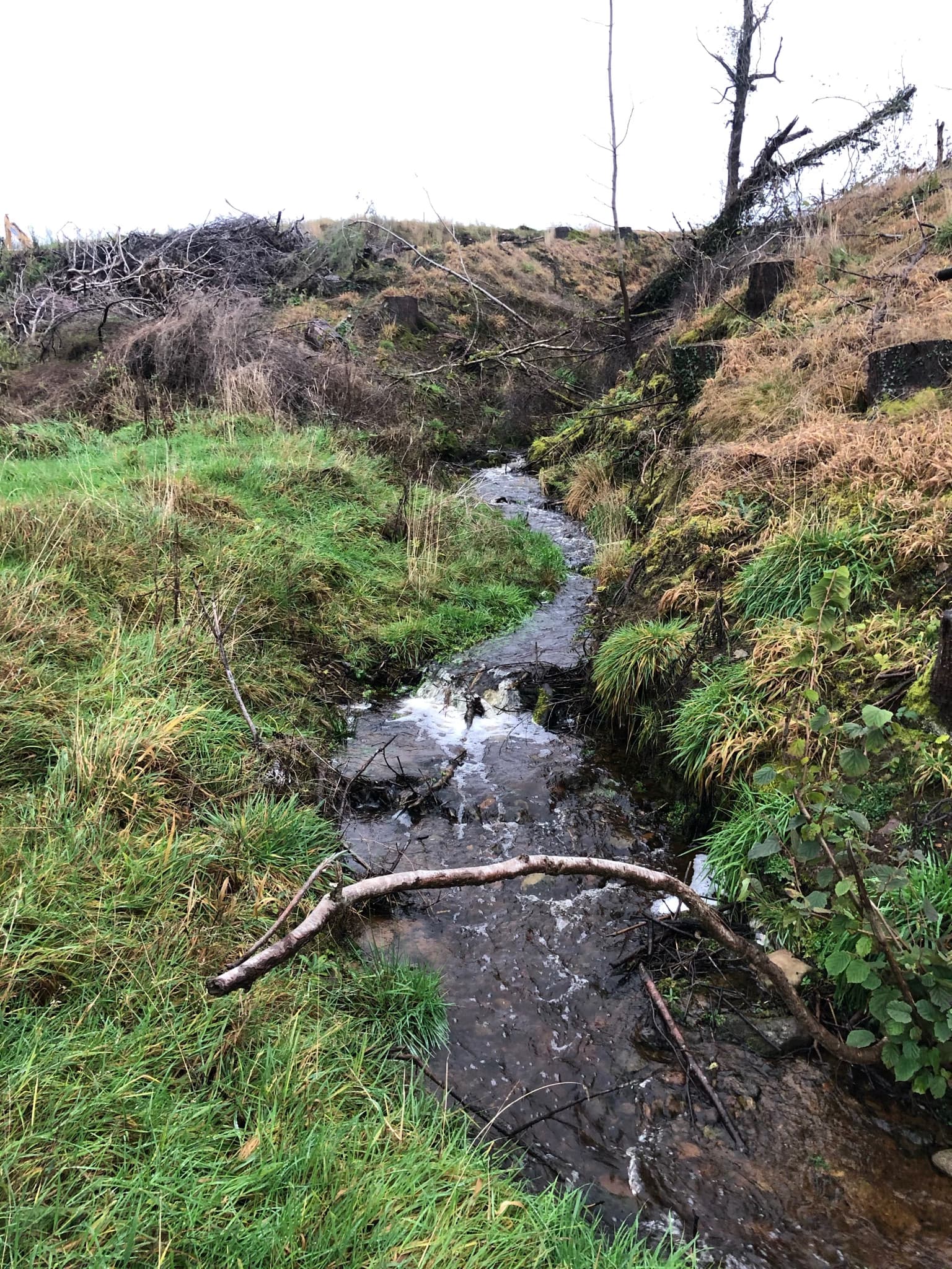 Hydrological and Flooding Assessment, Tornagrain - Image 6