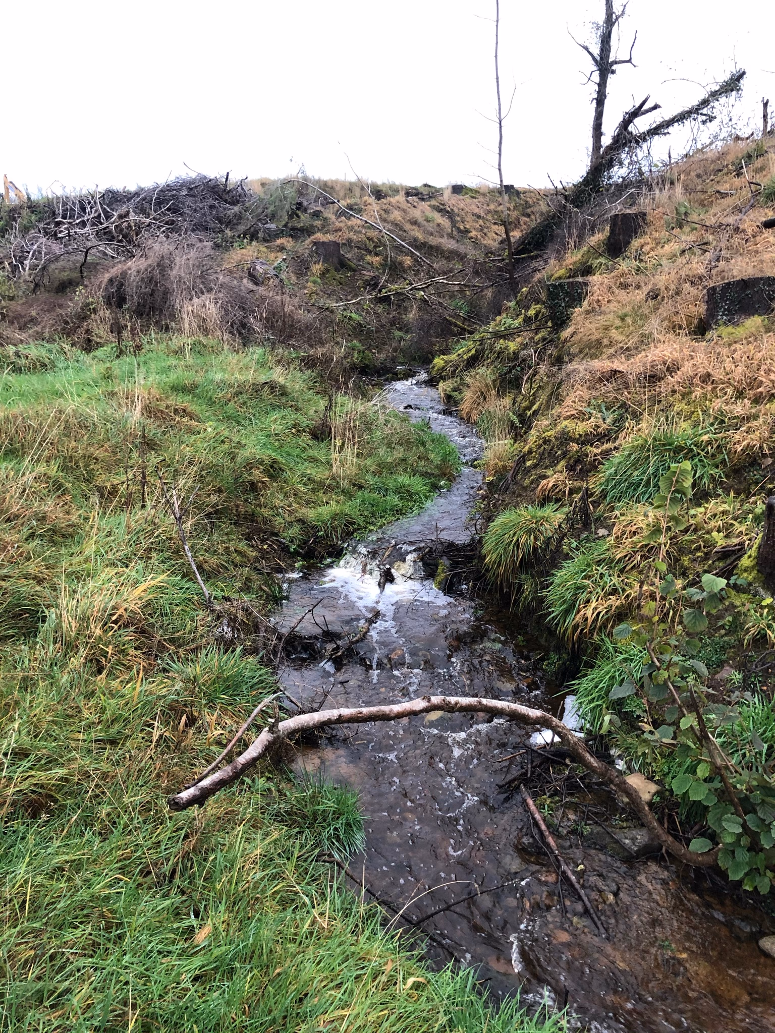 Hydrological and Flooding Assessment, Tornagrain - Image 6